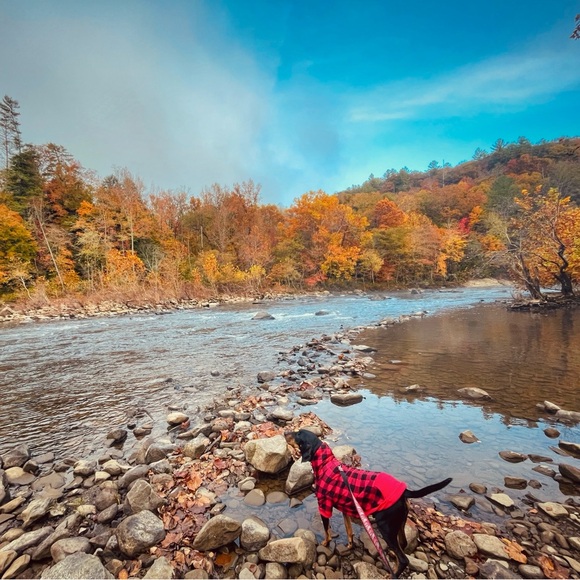 Meet your posher, Andi (and Woody)! - Picture 14 of 16